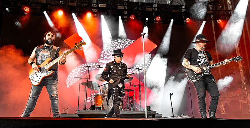 seguridad social (34)