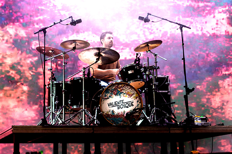 valiente bosque (19)