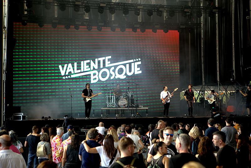 valiente bosque (22)